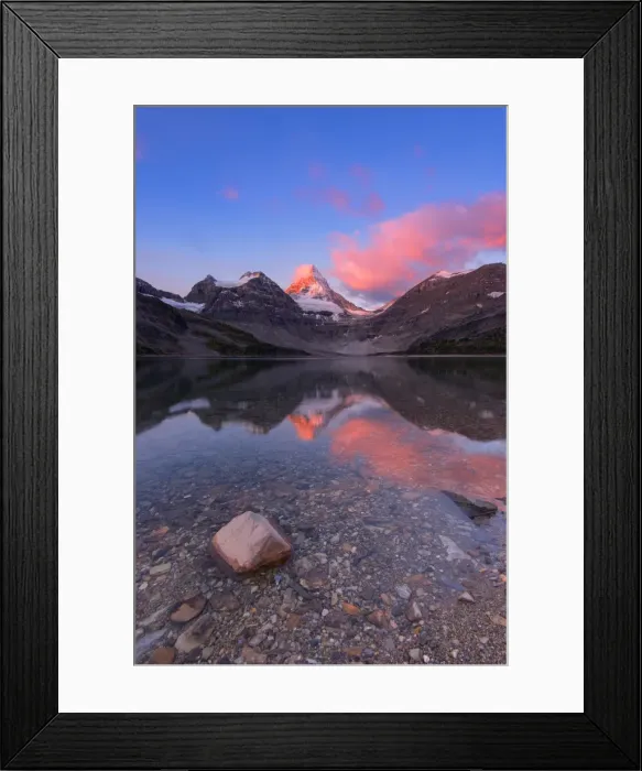 Framed Print : Pink sunrise at Mount Assiniboine Framed Print : Pink sunrise at Mount Assiniboine