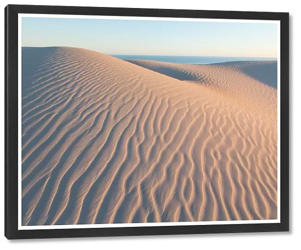 Sand dunes. Eyre Peninsula. South Australia