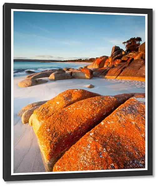 Australia, Bay of Fires, beach, coast, coastal, dawn, Lichen, pristine, Red, rocks