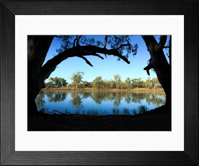 Framed Print : South Australia, Australian, Australia, river, Murray River, River Murray, gum tree Framed Print : South Australia, Australian, Australia, river, Murray River, River Murray, gum tree
