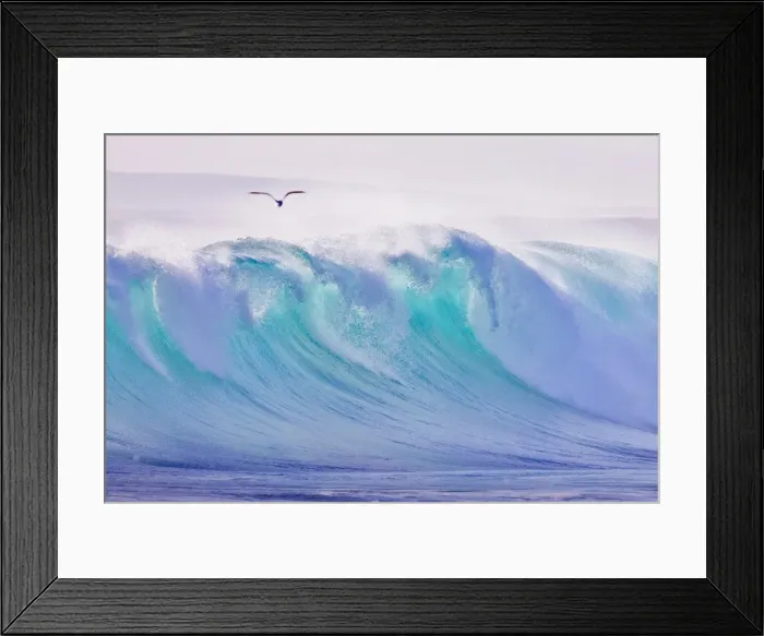 Framed Print : Seagull flying over ocean Framed Print : Seagull flying over ocean