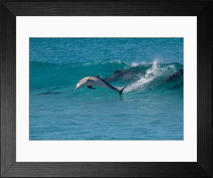 Framed Print : Eyre Peninsula, South Australia, Australian, Australia, coast, coastal, sea, ocean Framed Print : Eyre Peninsula, South Australia, Australian, Australia, coast, coastal, sea, ocean