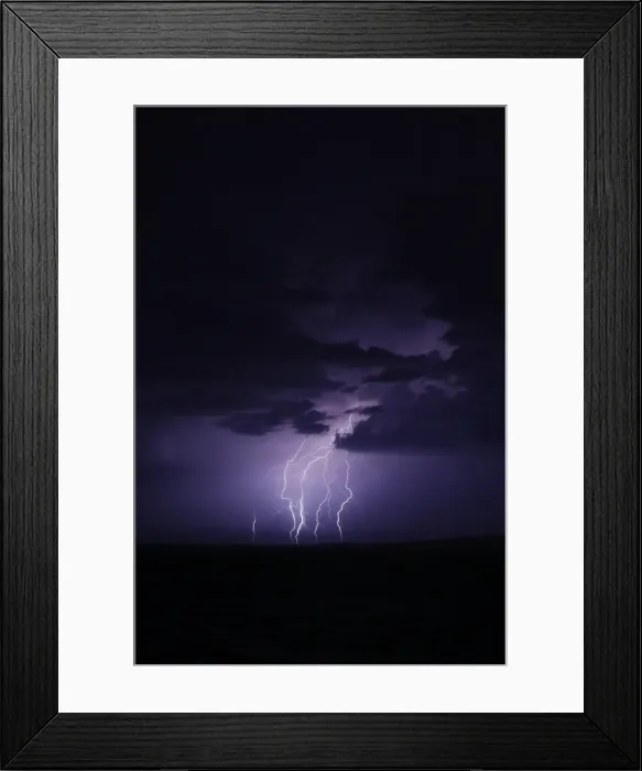 Framed Print : Perfect Purple Framed Print : Perfect Purple