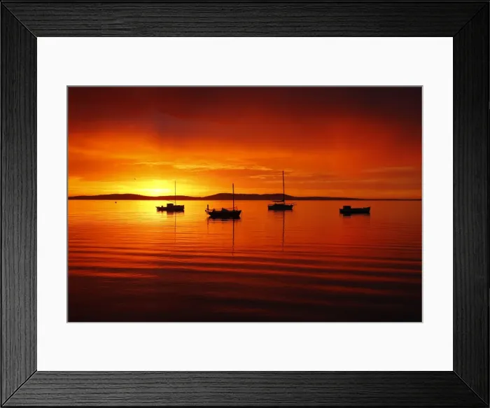 Framed Print : John White Photos Framed Print : John White Photos