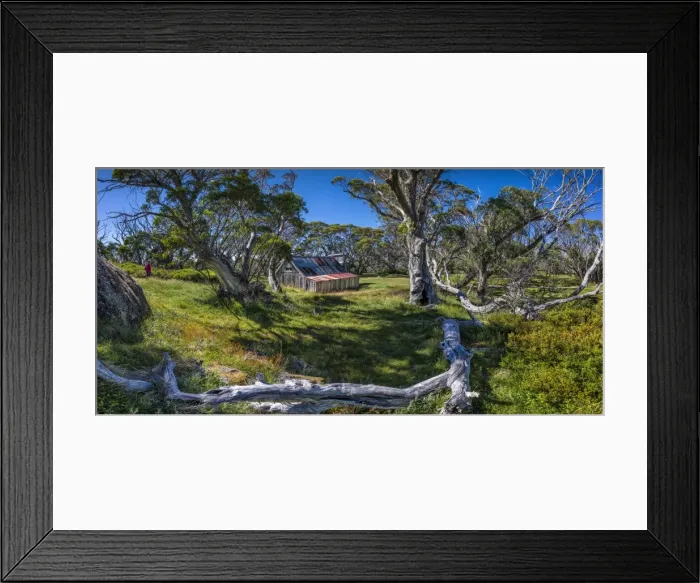 Framed Print : A summer view of Wallaces Hut in the Alpine region of north east Victoria, Australia Framed Print : A summer view of Wallaces Hut in the Alpine region of north east Victoria, Australia