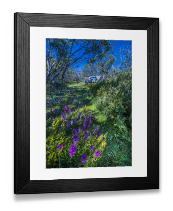 Framed Print : A summer view of Wallaces Hut in the Alpine region of north east Victoria, Australia Framed Print : A summer view of Wallaces Hut in the Alpine region of north east Victoria, Australia