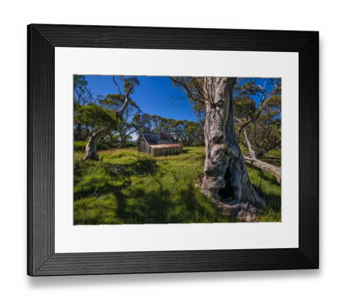 Framed Print : A summer view of Wallaces Hut in the Alpine region of north east Victoria, Australia Framed Print : A summer view of Wallaces Hut in the Alpine region of north east Victoria, Australia