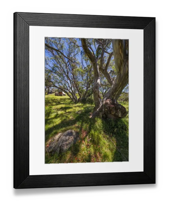 Framed Print : A summer view of Wallaces Hut in the Alpine region of north east Victoria, Australia Framed Print : A summer view of Wallaces Hut in the Alpine region of north east Victoria, Australia