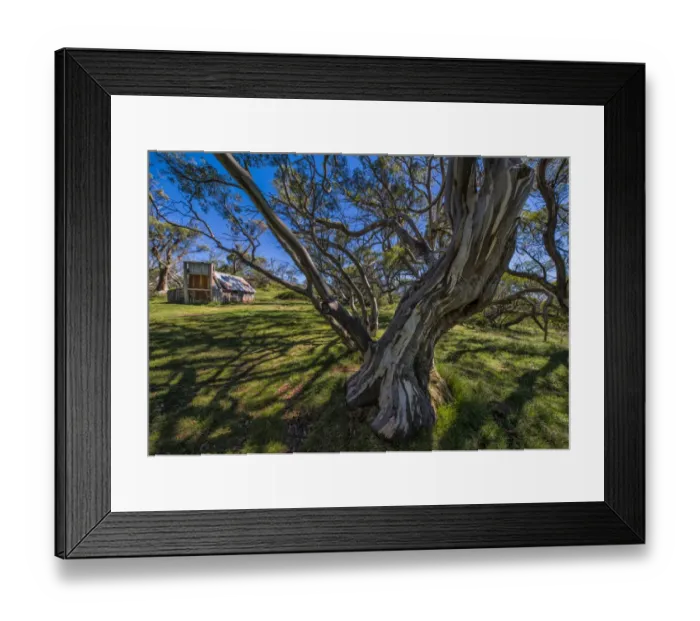 Framed Print : A summer view of Wallaces Hut in the Alpine region of north east Victoria, Australia Framed Print : A summer view of Wallaces Hut in the Alpine region of north east Victoria, Australia