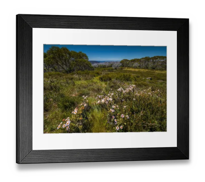 Framed Print : A summer view of Wallaces Hut in the Alpine region of north east Victoria, Australia