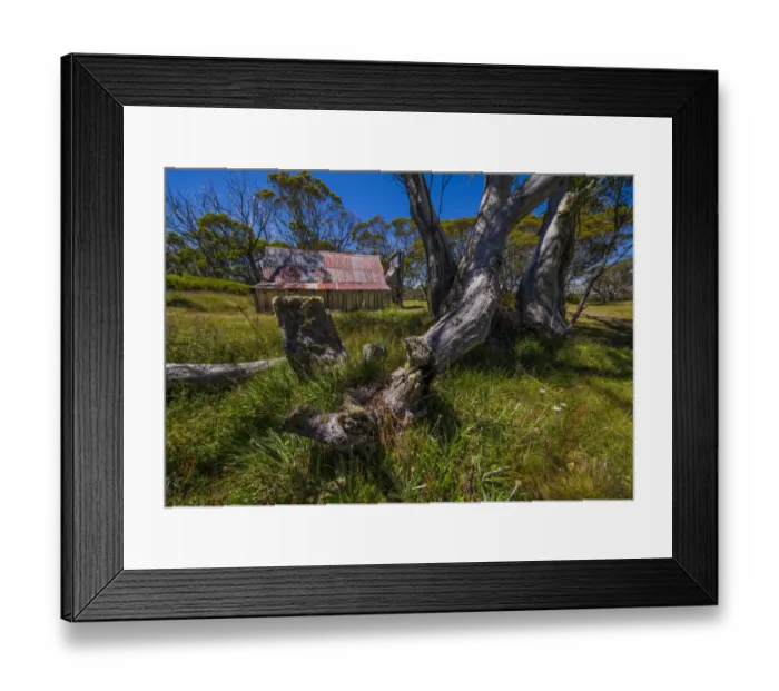 Framed Print : A summer view of Wallaces Hut in the Alpine region of north east Victoria, Australia Framed Print : A summer view of Wallaces Hut in the Alpine region of north east Victoria, Australia