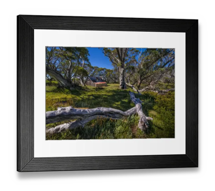 Framed Print : A summer view of Wallaces Hut in the Alpine region of north east Victoria, Australia Framed Print : A summer view of Wallaces Hut in the Alpine region of north east Victoria, Australia