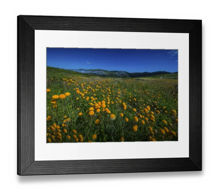 Framed Print : Alpine scenery near Falls creek in the mountainous region of north east Victoria, Australia Framed Print : Alpine scenery near Falls creek in the mountainous region of north east Victoria, Australia