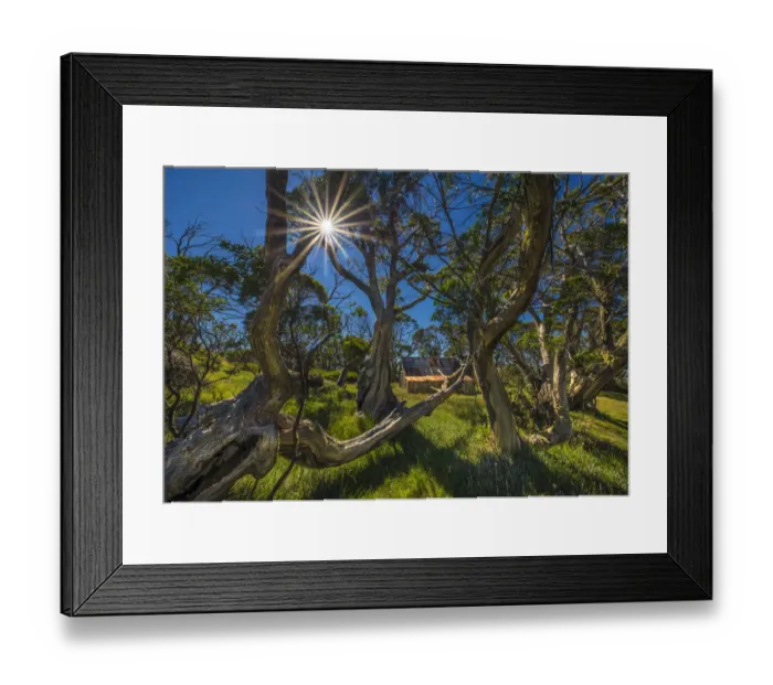 Framed Print : Sunstar at Wallaces hut, in the Alpine mountainous region of north east Victoria, Australia Framed Print : Sunstar at Wallaces hut, in the Alpine mountainous region of north east Victoria, Australia
