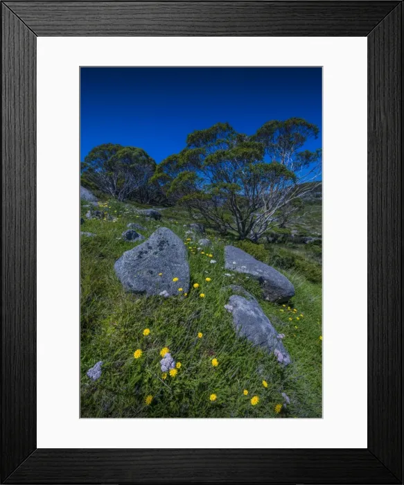 Framed Print : Alpine scenery near Falls creek in the mountainous region of north east Victoria, Australia