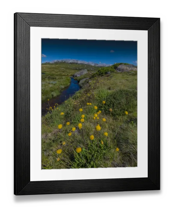 Framed Print : Alpine scenery near Falls creek in the mountainous region of north east Victoria, Australia Framed Print : Alpine scenery near Falls creek in the mountainous region of north east Victoria, Australia