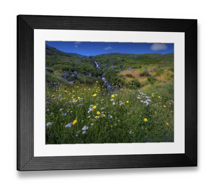 Framed Print : Alpine scenery near Falls creek in the mountainous region of north east Victoria, Australia Framed Print : Alpine scenery near Falls creek in the mountainous region of north east Victoria, Australia