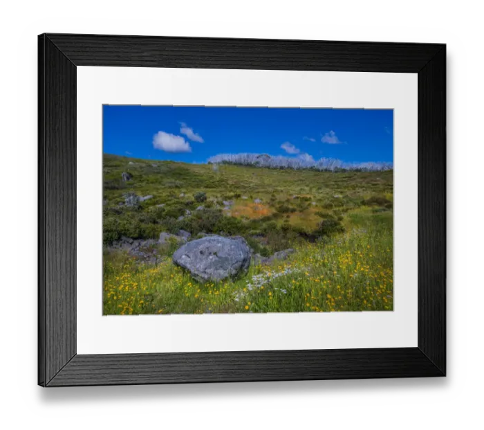 Framed Print : Alpine scenery near Falls creek in the mountainous region of north east Victoria, Australia Framed Print : Alpine scenery near Falls creek in the mountainous region of north east Victoria, Australia