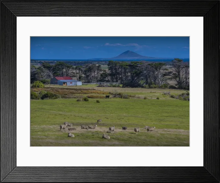 Framed Print : A view across farmland towards Chappell Island, on the coastline of Flinders Island, Bass Strait, Tasmania, Australia Framed Print : A view across farmland towards Chappell Island, on the coastline of Flinders Island, Bass Strait, Tasmania, Australia