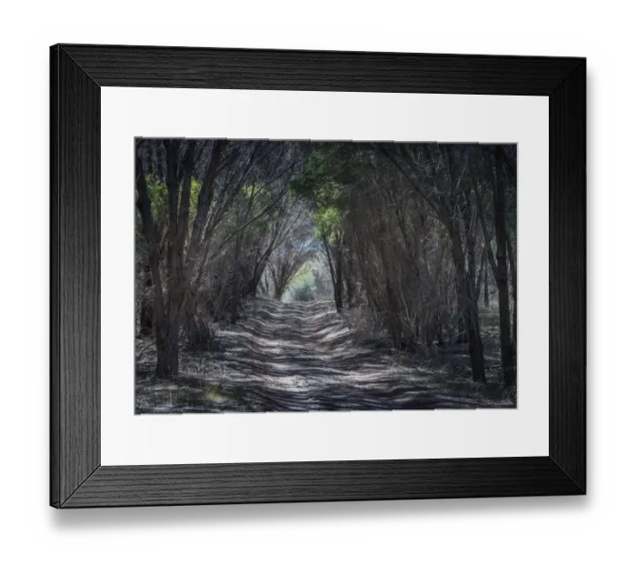 Framed Print : Vehicle track at Wybalenna, Flinders Island, Bass Strait, Tasmania, Australia Framed Print : Vehicle track at Wybalenna, Flinders Island, Bass Strait, Tasmania, Australia