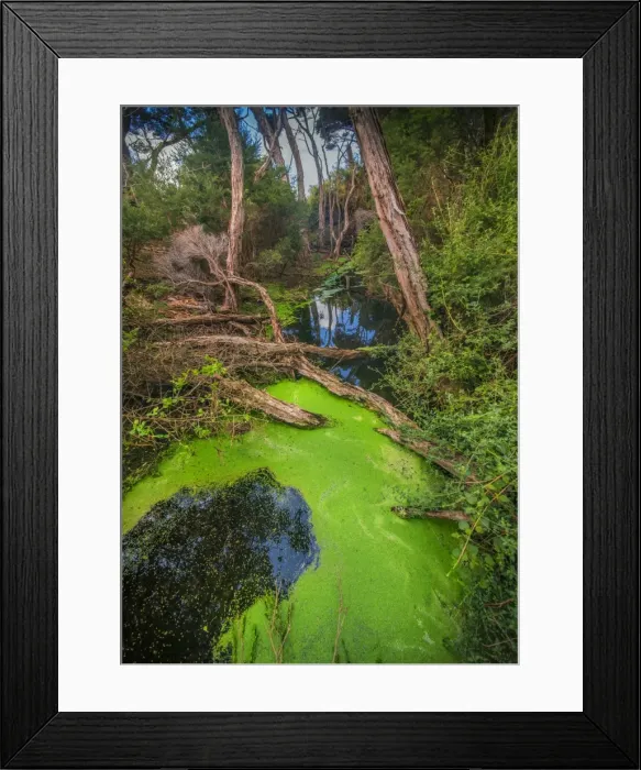 Framed Print : Edens creek, Palana, Flinders Island, Bass Strait, Tasmania, Australia Framed Print : Edens creek, Palana, Flinders Island, Bass Strait, Tasmania, Australia