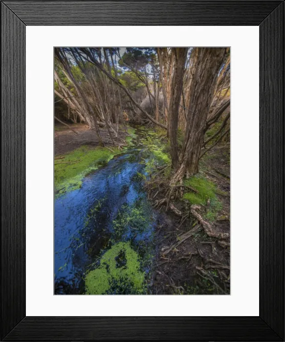 Framed Print : Edens creek, Palana, Flinders Island, Bass Strait, Tasmania, Australia