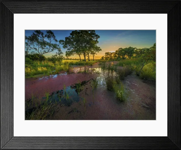 Framed Print : The lovely wetlands at Hidden Grove, Keysborough South, Melbourne, Victoria, Australia Framed Print : The lovely wetlands at Hidden Grove, Keysborough South, Melbourne, Victoria, Australia