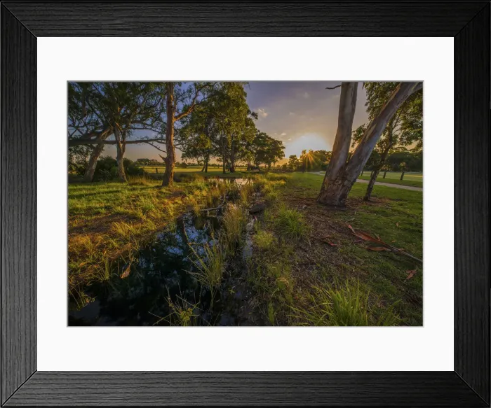 Framed Print : The lovely wetlands at Hidden Grove, Keysborough South, Melbourne, Victoria, Australia