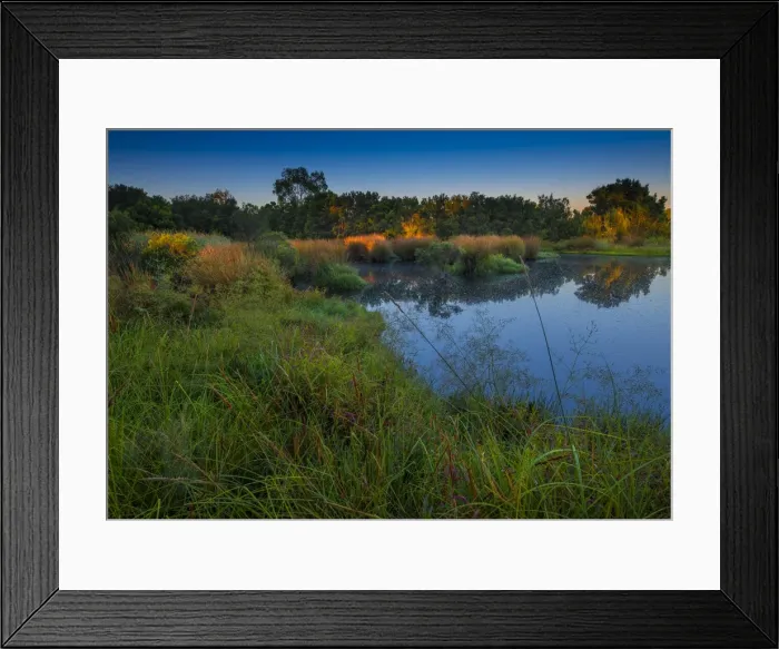 Framed Print : The lovely wetlands at Hidden Grove, Keysborough South, Melbourne, Victoria, Australia