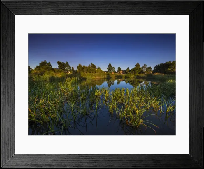 Framed Print : The lovely wetlands at Hidden Grove, Keysborough South, Melbourne, Victoria, Australia Framed Print : The lovely wetlands at Hidden Grove, Keysborough South, Melbourne, Victoria, Australia