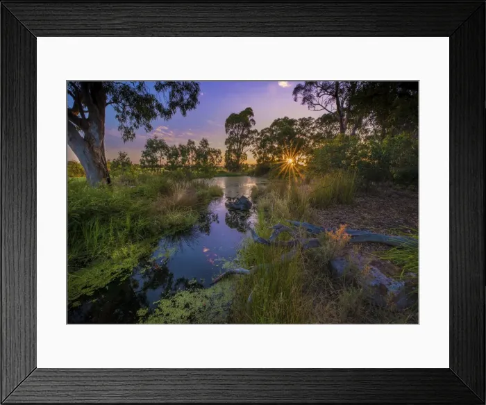 Framed Print : The lovely wetlands at Hidden Grove, Keysborough South, Melbourne, Victoria, Australia Framed Print : The lovely wetlands at Hidden Grove, Keysborough South, Melbourne, Victoria, Australia