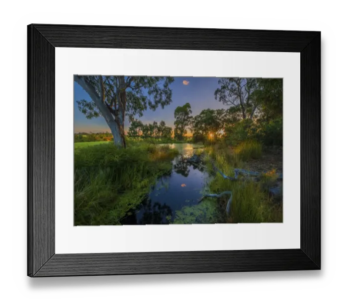 Framed Print : The lovely wetlands at Hidden Grove, Keysborough South, Melbourne, Victoria, Australia Framed Print : The lovely wetlands at Hidden Grove, Keysborough South, Melbourne, Victoria, Australia