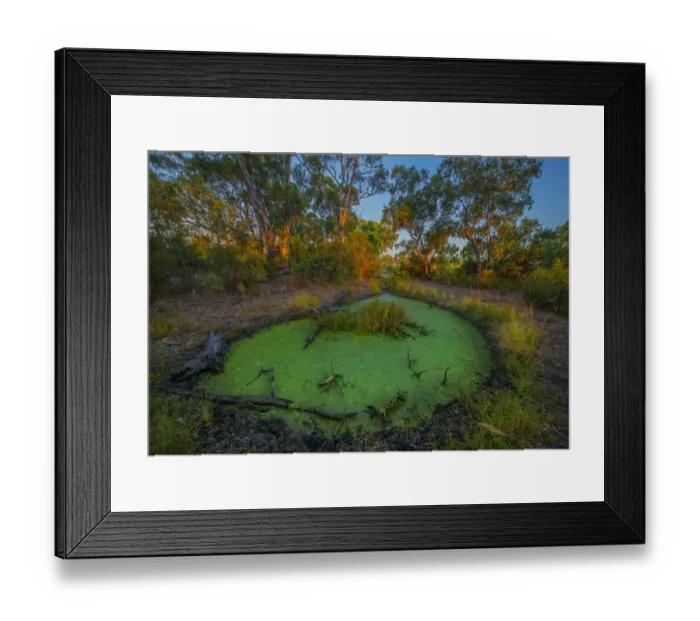 Framed Print : The lovely wetlands at Hidden Grove, Keysborough South, Melbourne, Victoria, Australia Framed Print : The lovely wetlands at Hidden Grove, Keysborough South, Melbourne, Victoria, Australia