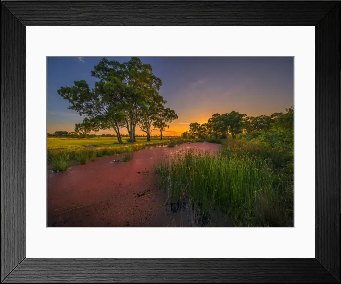 Framed Print : The lovely wetlands at Hidden Grove, Keysborough South, Melbourne, Victoria, Australia