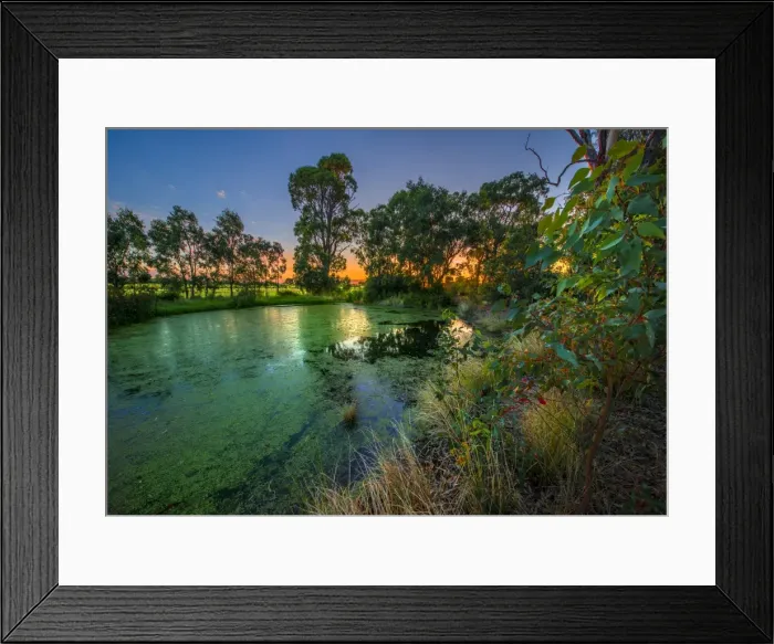 Framed Print : The lovely wetlands at Hidden Grove, Keysborough South, Melbourne, Victoria, Australia Framed Print : The lovely wetlands at Hidden Grove, Keysborough South, Melbourne, Victoria, Australia