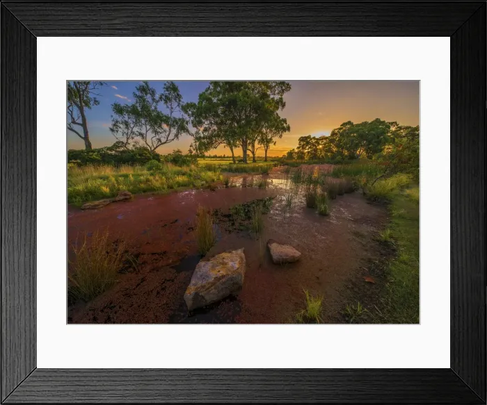 Framed Print : The lovely wetlands at Hidden Grove, Keysborough South, Melbourne, Victoria, Australia Framed Print : The lovely wetlands at Hidden Grove, Keysborough South, Melbourne, Victoria, Australia