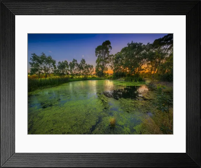 Framed Print : The lovely wetlands at Hidden Grove, Keysborough South, Melbourne, Victoria, Australia Framed Print : The lovely wetlands at Hidden Grove, Keysborough South, Melbourne, Victoria, Australia