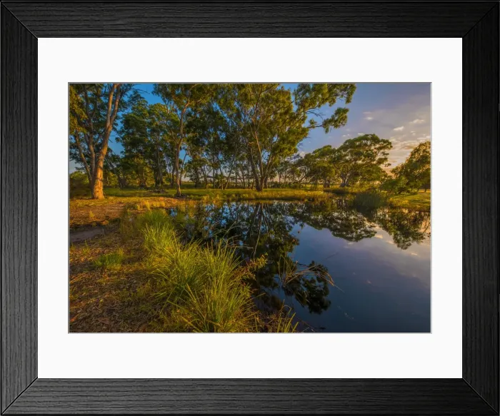 Framed Print : The lovely wetlands at Hidden Grove, Keysborough South, Melbourne, Victoria, Australia