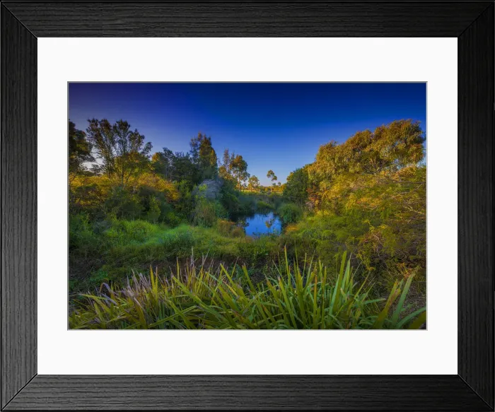 Framed Print : The lovely wetlands at Hidden Grove, Keysborough South, Melbourne, Victoria, Australia Framed Print : The lovely wetlands at Hidden Grove, Keysborough South, Melbourne, Victoria, Australia