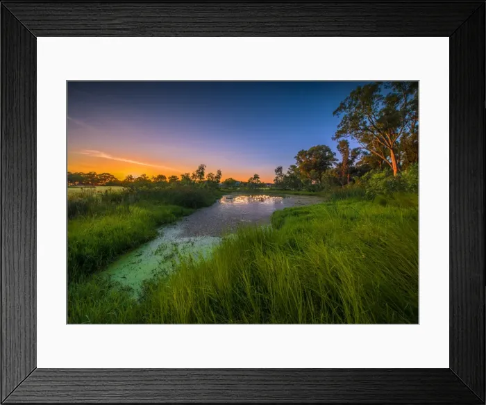 Framed Print : The lovely wetlands at Hidden Grove, Keysborough South, Melbourne, Victoria, Australia Framed Print : The lovely wetlands at Hidden Grove, Keysborough South, Melbourne, Victoria, Australia