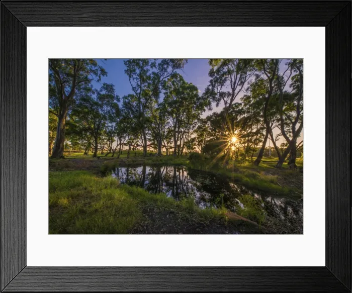 Framed Print : The lovely wetlands at Hidden Grove, Keysborough South, Melbourne, Victoria, Australia Framed Print : The lovely wetlands at Hidden Grove, Keysborough South, Melbourne, Victoria, Australia