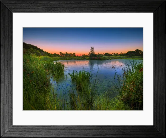 Framed Print : The lovely wetlands at Hidden Grove, Keysborough South, Melbourne, Victoria, Australia Framed Print : The lovely wetlands at Hidden Grove, Keysborough South, Melbourne, Victoria, Australia