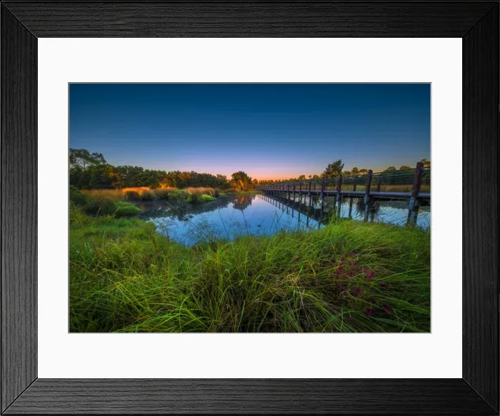 Framed Print : The lovely wetlands at Hidden Grove, Keysborough South, Melbourne, Victoria, Australia Framed Print : The lovely wetlands at Hidden Grove, Keysborough South, Melbourne, Victoria, Australia