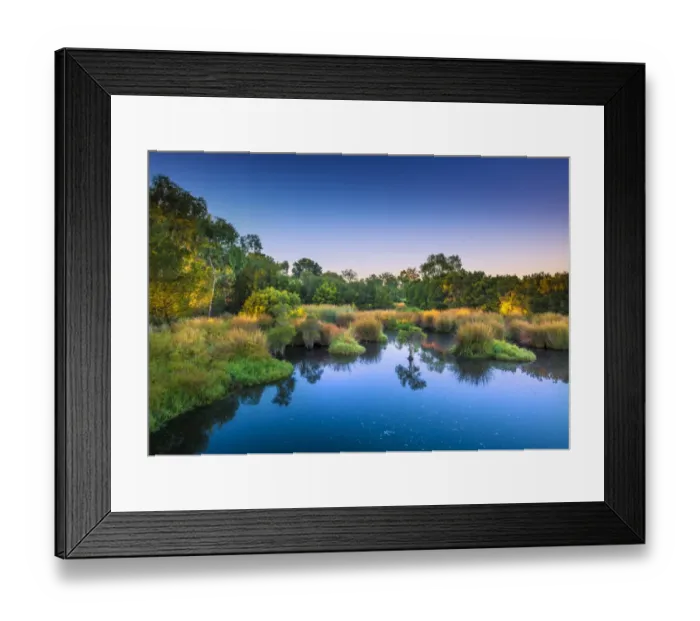 Framed Print : The lovely wetlands at Hidden Grove, Keysborough South, Melbourne, Victoria, Australia