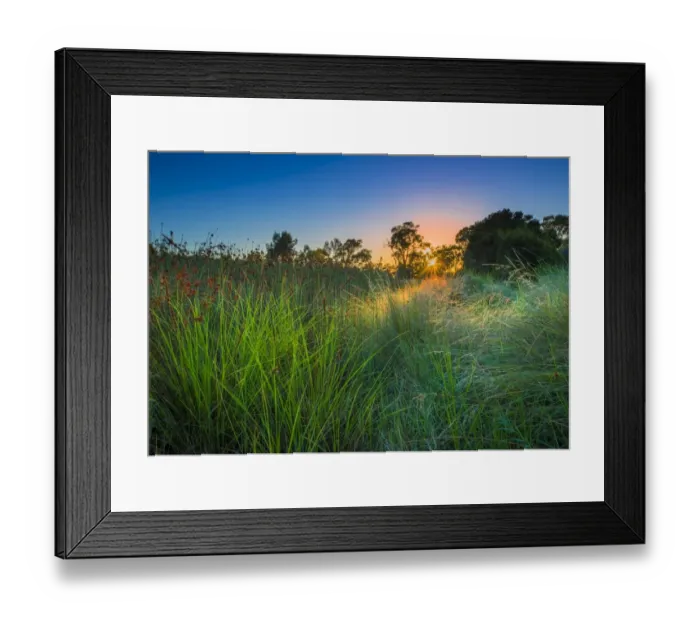 Framed Print : The lovely wetlands at Hidden Grove, Keysborough South, Melbourne, Victoria, Australia