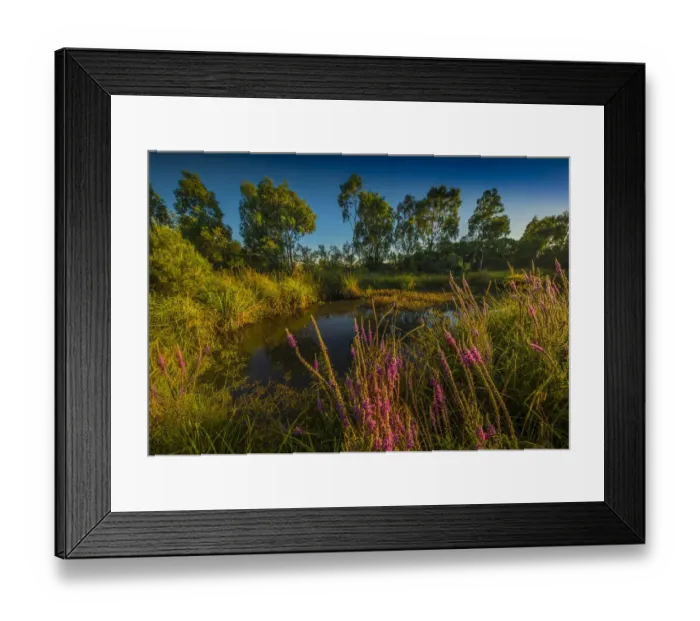 Framed Print : The lovely wetlands at Hidden Grove, Keysborough South, Melbourne, Victoria, Australia Framed Print : The lovely wetlands at Hidden Grove, Keysborough South, Melbourne, Victoria, Australia