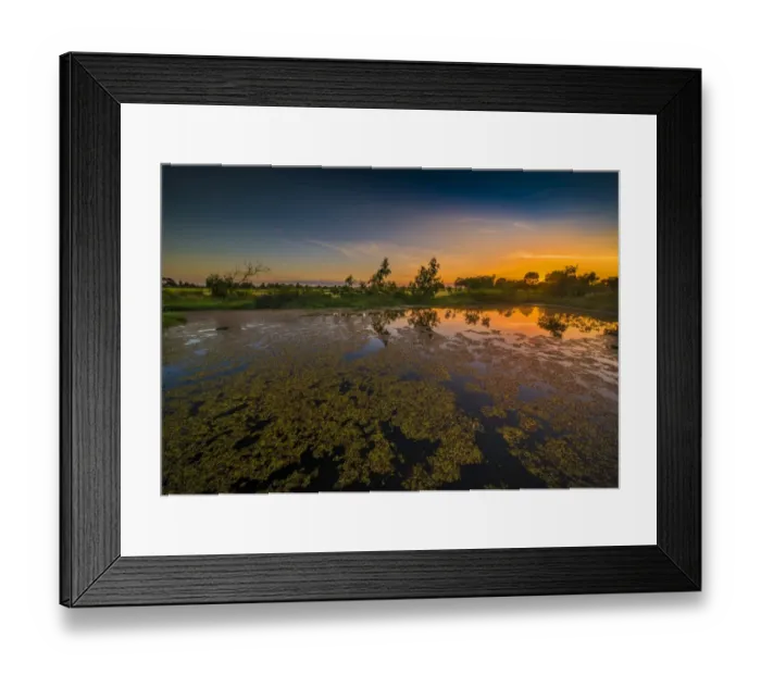 Framed Print : The lovely wetlands at Hidden Grove, Keysborough South, Melbourne, Victoria, Australia Framed Print : The lovely wetlands at Hidden Grove, Keysborough South, Melbourne, Victoria, Australia