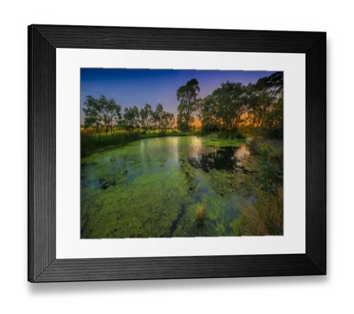 Framed Print : The lovely wetlands at Hidden Grove, Keysborough South, Melbourne, Victoria, Australia Framed Print : The lovely wetlands at Hidden Grove, Keysborough South, Melbourne, Victoria, Australia