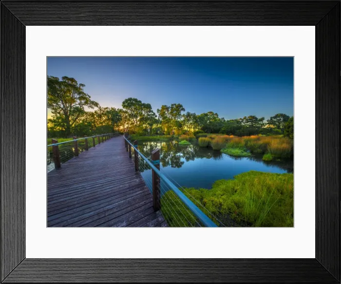 Framed Print : The lovely wetlands at Hidden Grove, Keysborough South, Melbourne, Victoria, Australia