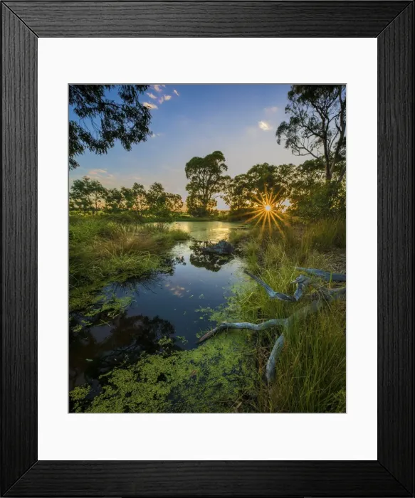 Framed Print : The lovely wetlands at Hidden Grove, Keysborough South, Melbourne, Victoria, Australia
